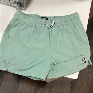 AFWD Mint Green Casual Shorts Size L